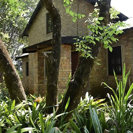 Molly'S Cottage Graskop Buitenkant foto