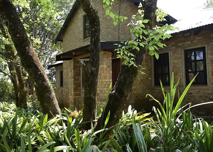 Molly\'S Cottage