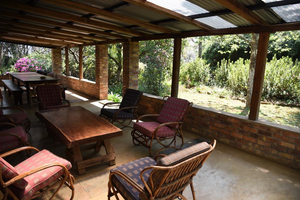 Molly's Graskop