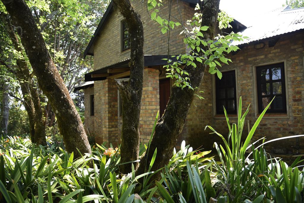 Molly's Holiday home